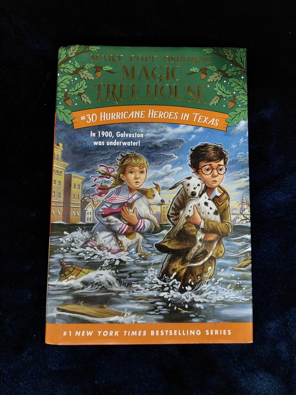 Magic Tree House #30: Hurricane Heroes in Texas - Green Cover Book